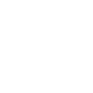 rfebm
